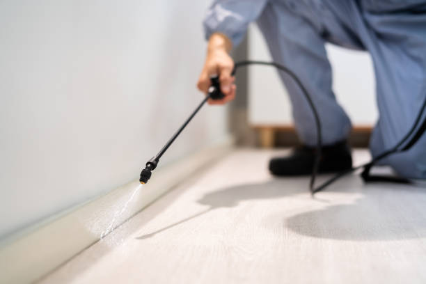 Rodent Entry Point Assessment in Prairie du Sac