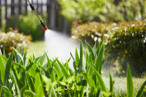 Tamper-Resistant Bait Stations for Rodents in Prairie du Sac
