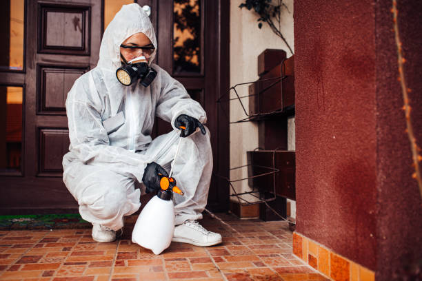 Attic and Crawl Space Rodent Treatment in Prairie du Sac