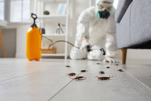 Commercial Rodent Management in Prairie du Sac
